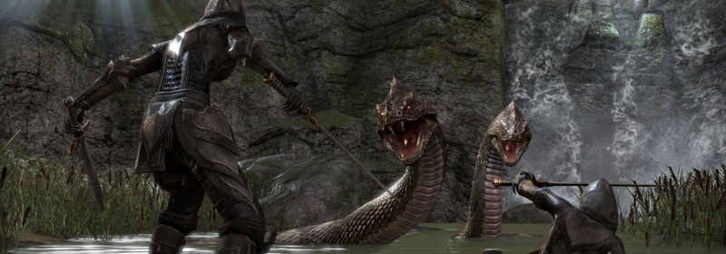 Illustration for article titled The Elder Scrolls Online is a big sandbox to explore, but you have to share